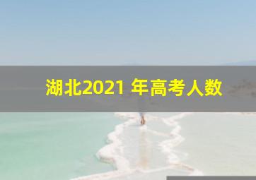 湖北2021 年高考人数